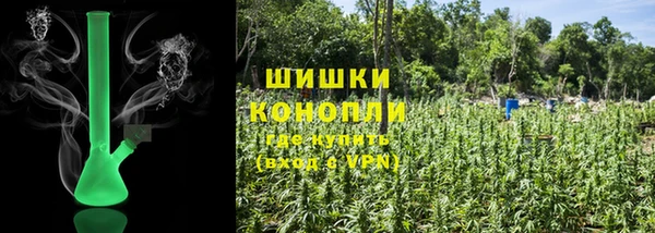 PSILOCYBIN Армянск