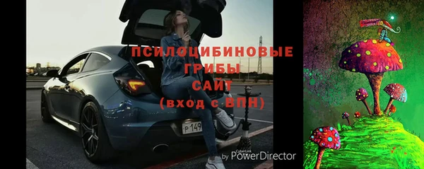 прущая мука Алзамай