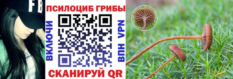 купить закладку Балтийск Псилоцибиновые грибы Magic Shrooms